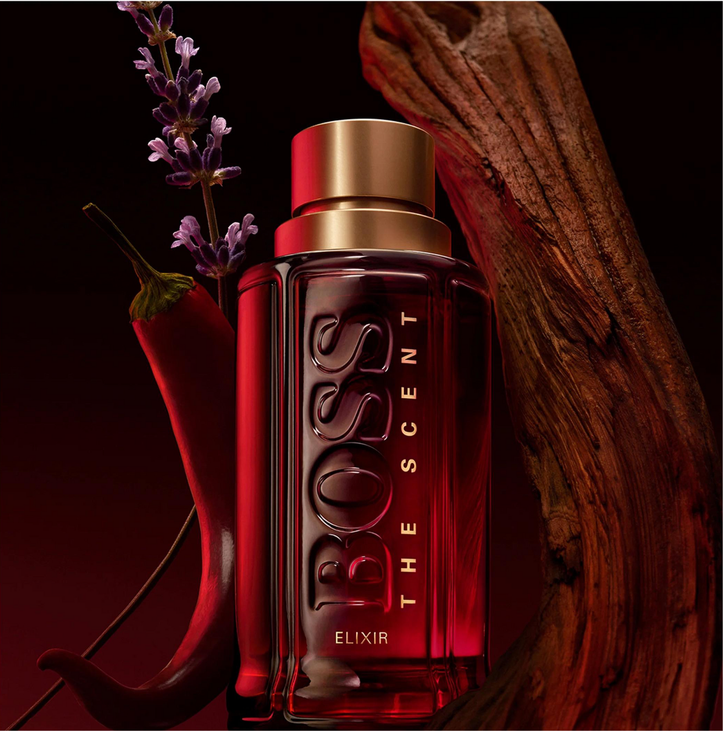 Hugo Boss Elixir (50ml)